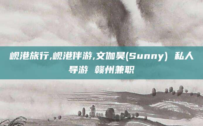 广水岘港旅行,岘港伴游,文伽昊(Sunny) 私人导游 赣州兼职