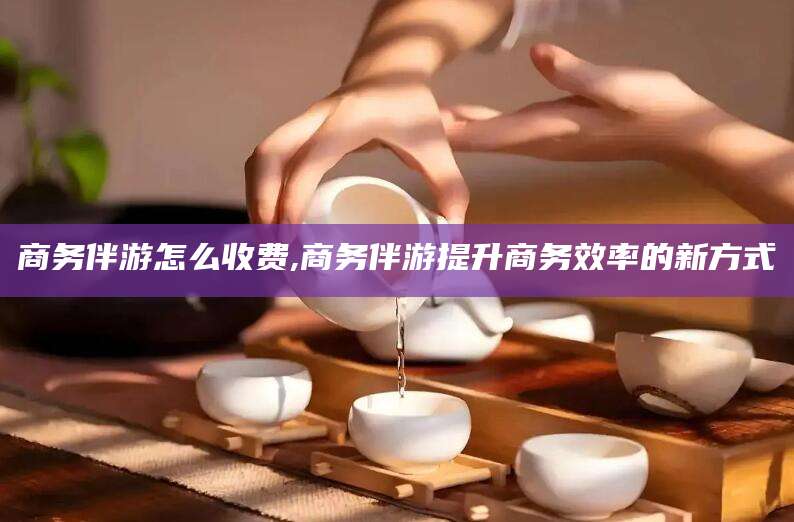 广水商务伴游怎么收费,商务伴游提升商务效率的新方式