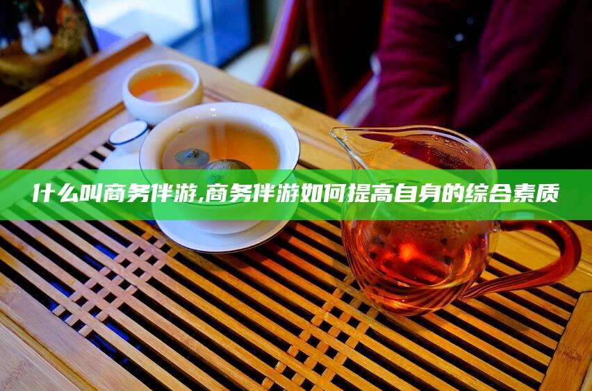 广水什么叫商务伴游,商务伴游如何提高自身的综合素质