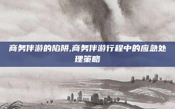广水商务伴游的陷阱,商务伴游行程中的应急处理策略